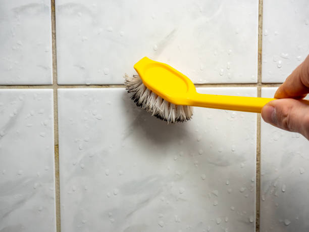 Best Professional Mold Removal  in Hernando, FL