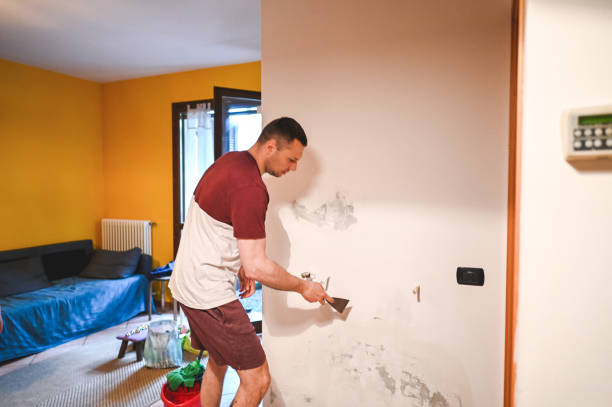 Best Attic Mold Removal  in Hernando, FL